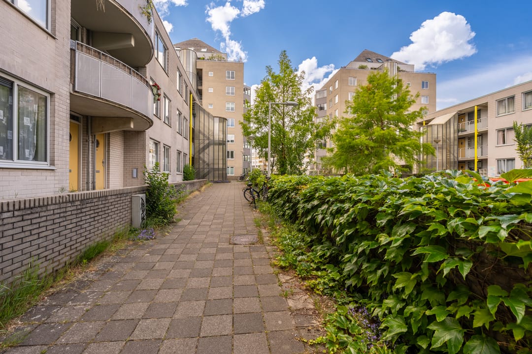 Foto 41 van Borneolaan 268