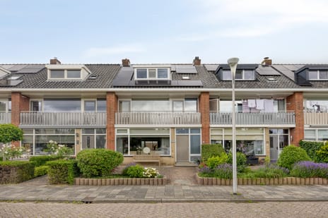 van Ostadelaan thumbnail