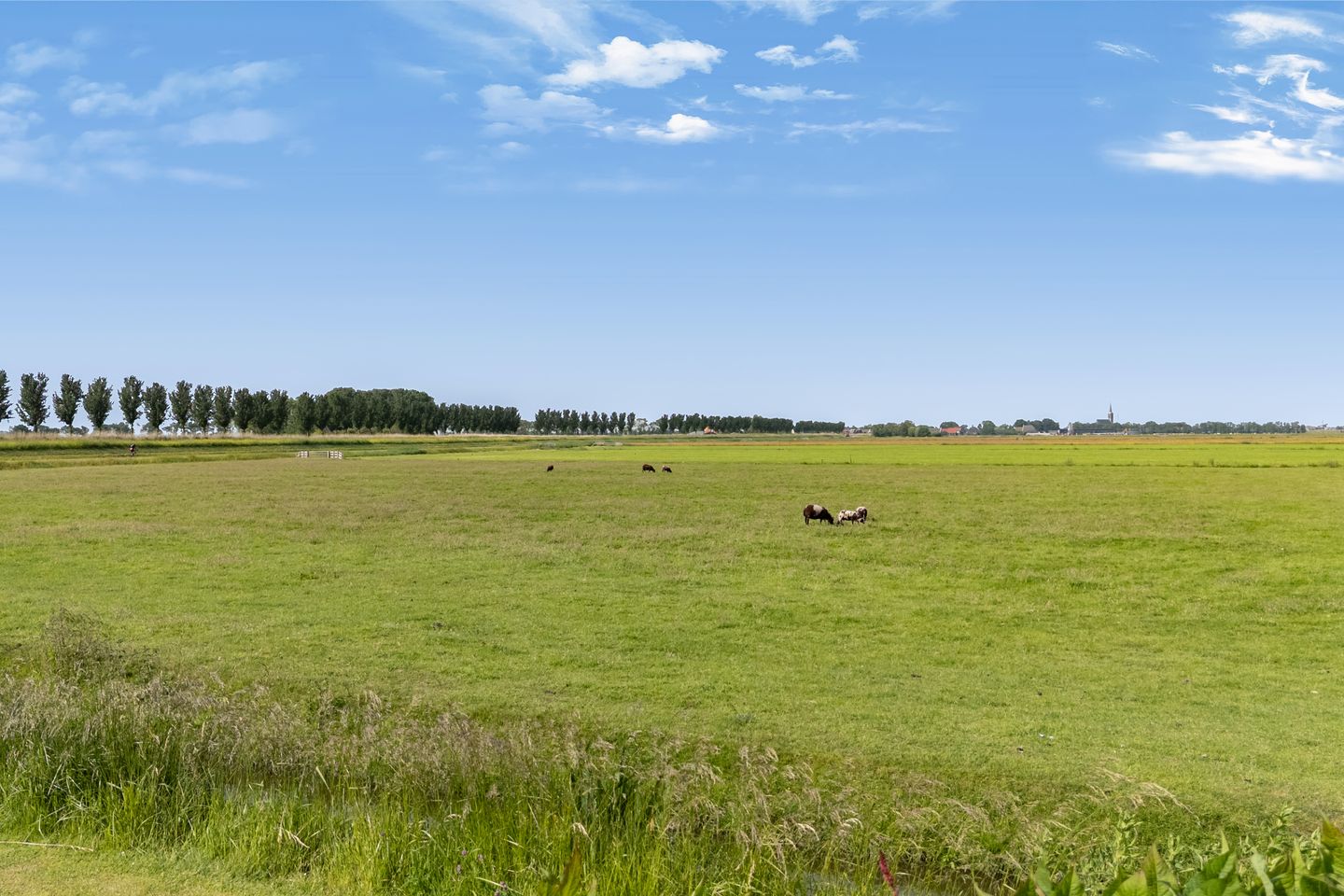 Photo 74 of Oostmijzerdijk 13-A
