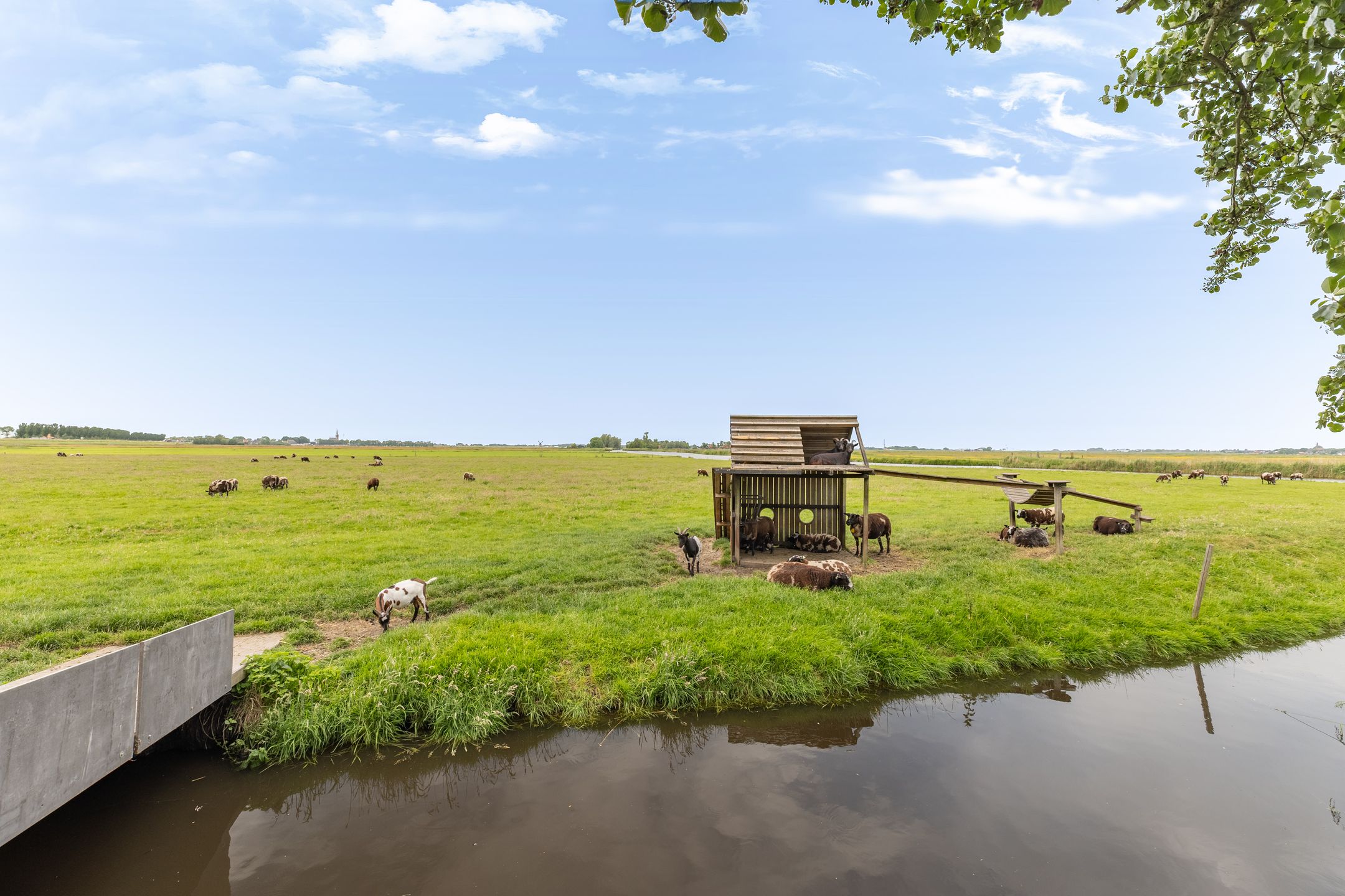 Photo 57 of Oostmijzerdijk 13-A