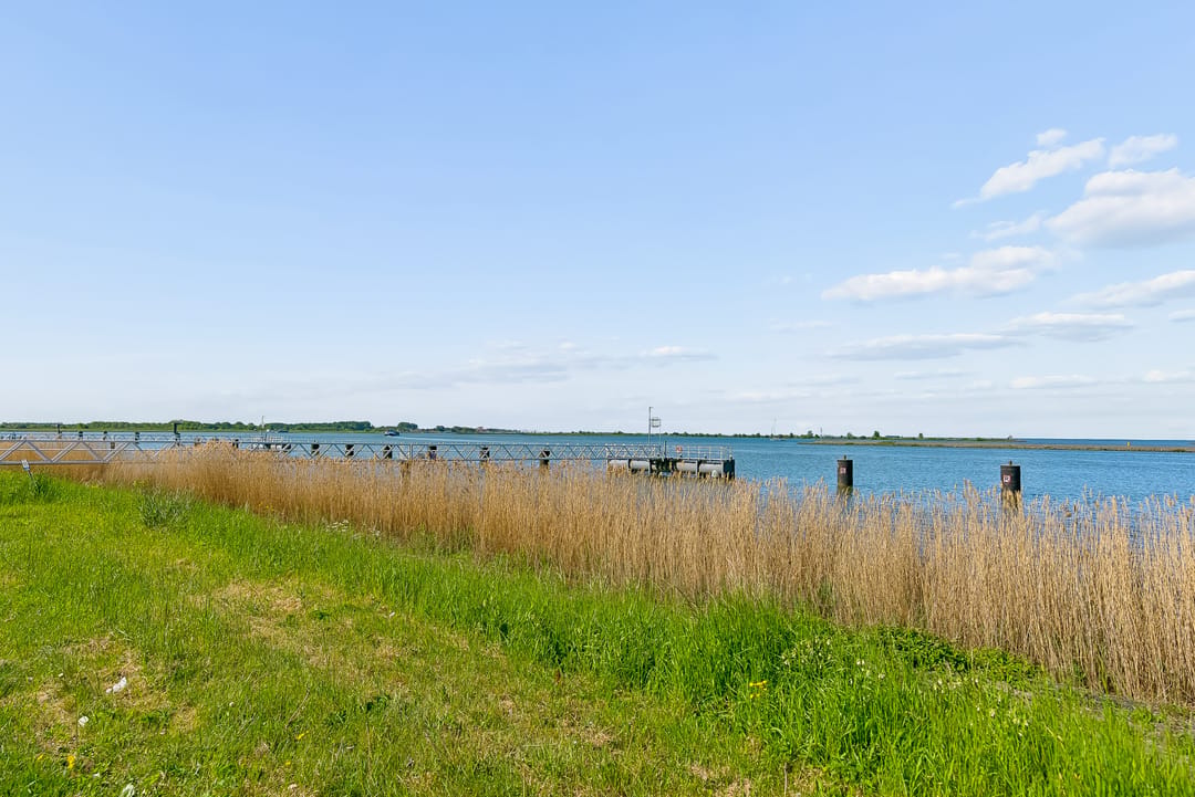 Foto 43 van Reygersbeek 347
