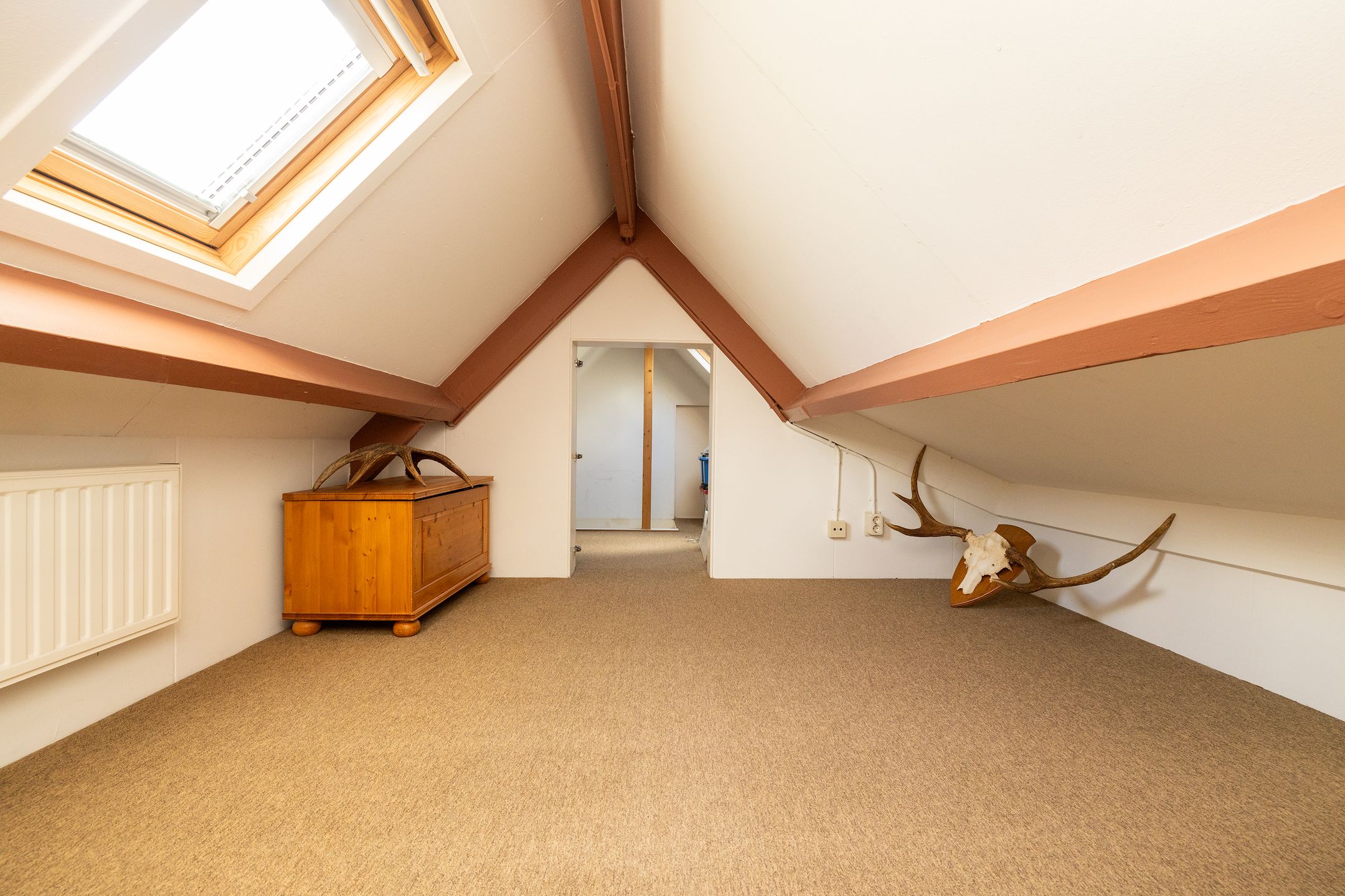 Photo 39 of Kruilier 2