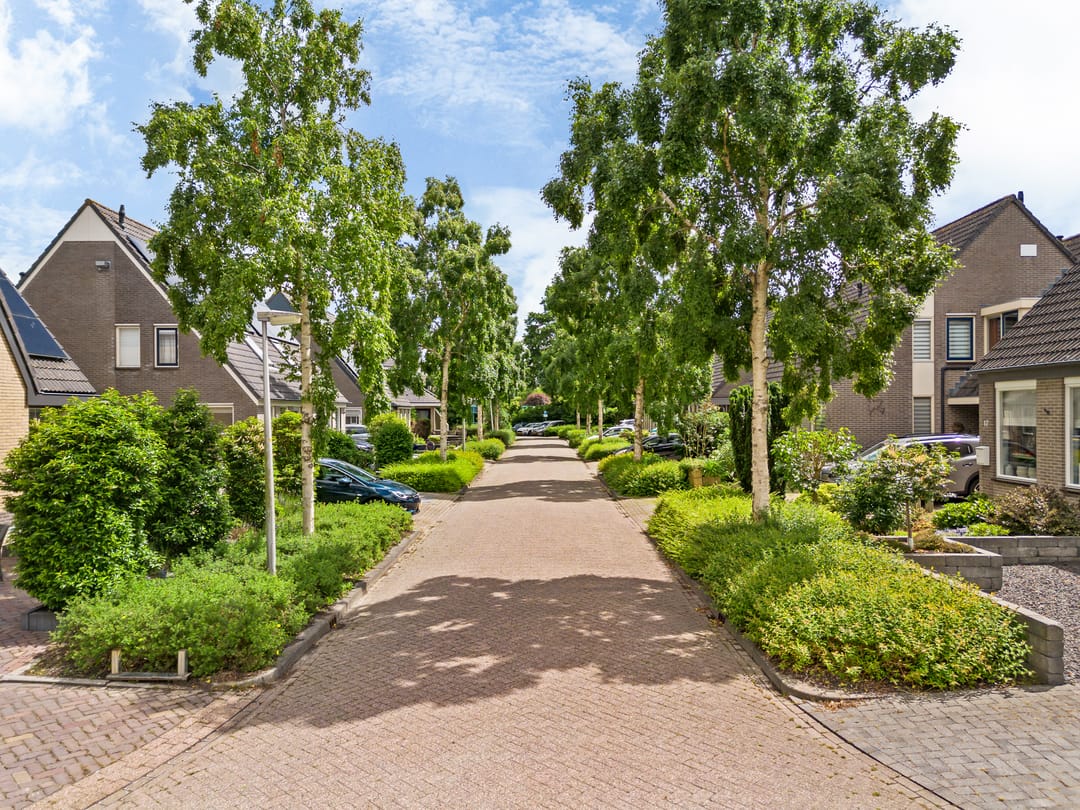 Foto 47 van Driesprong 12