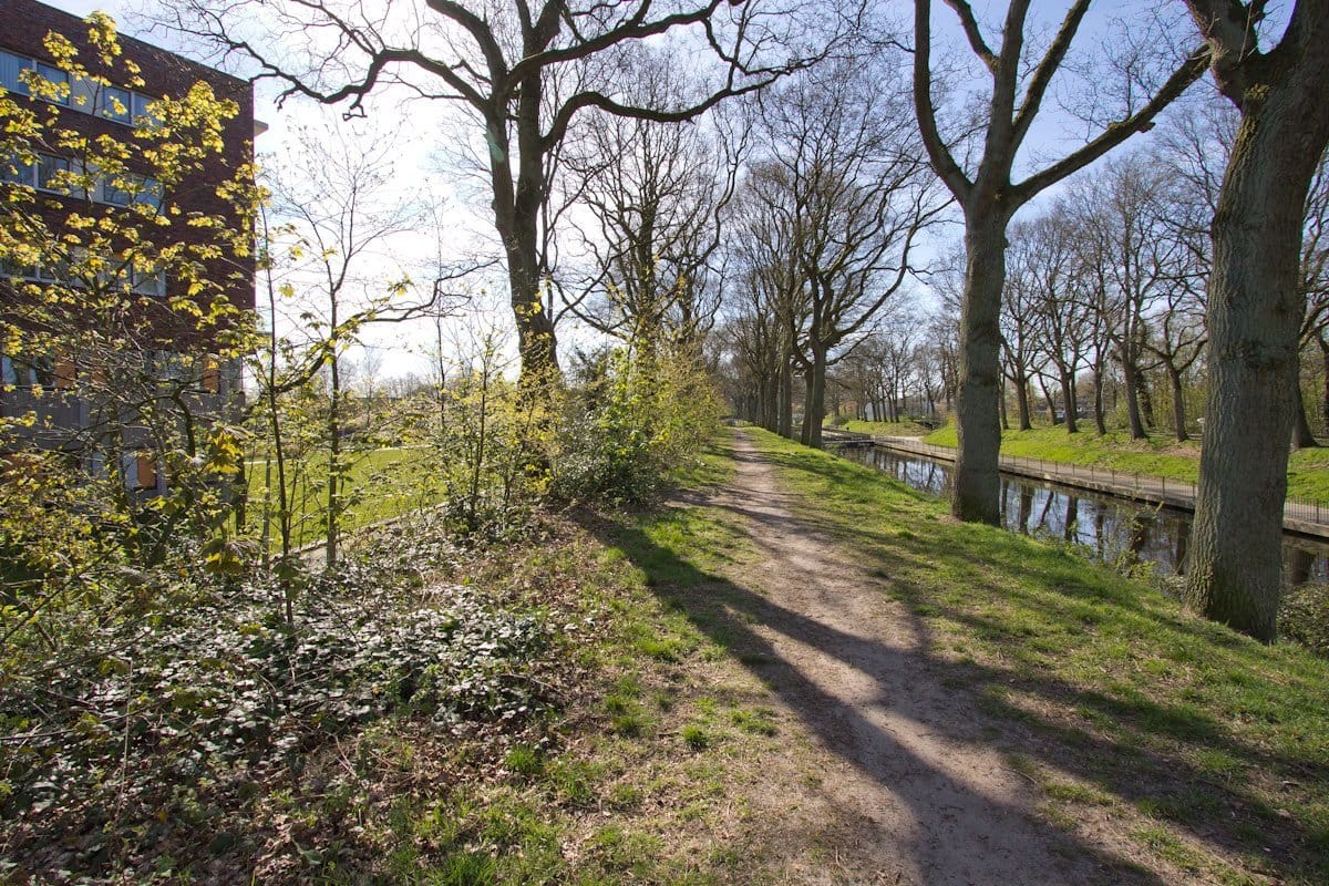 Photo 6 of Mantingerbrink 154