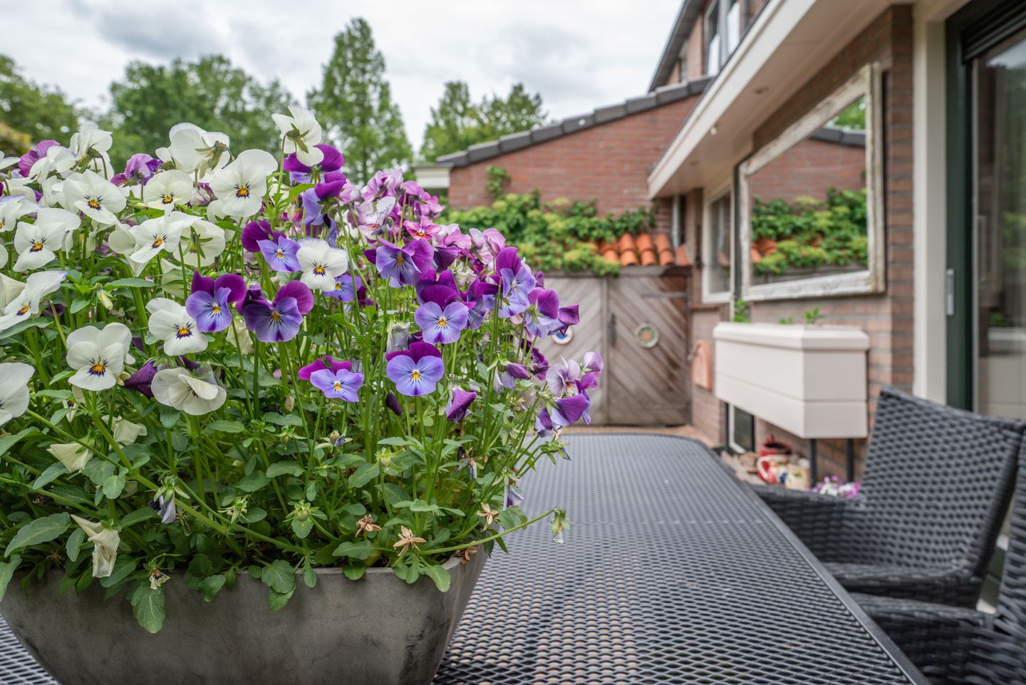Photo 59 of Beukenlaan 115