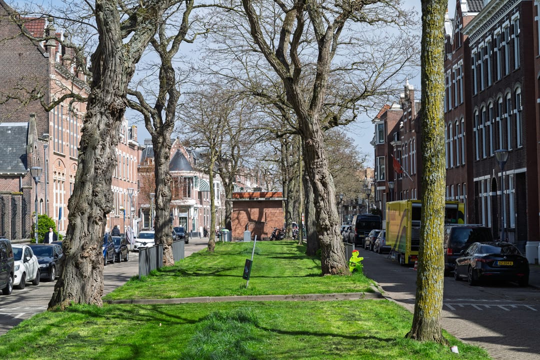 Photo 46 of Voorschoterlaan 101