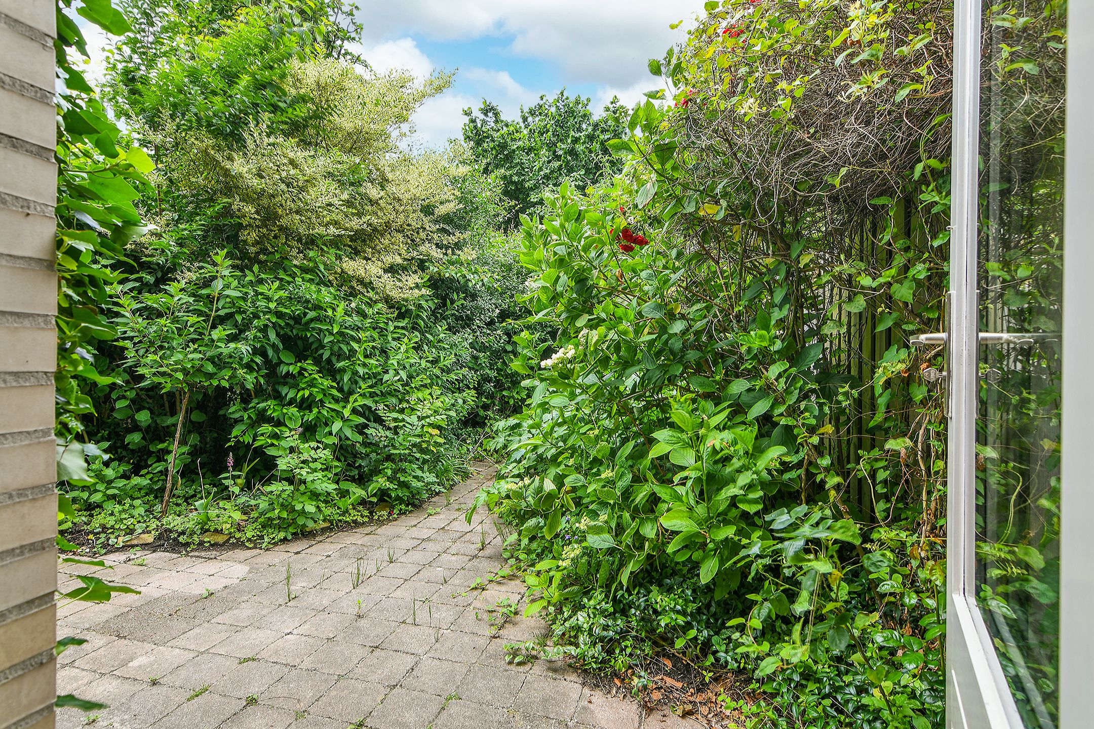 Photo 18 of Vijverbos 88