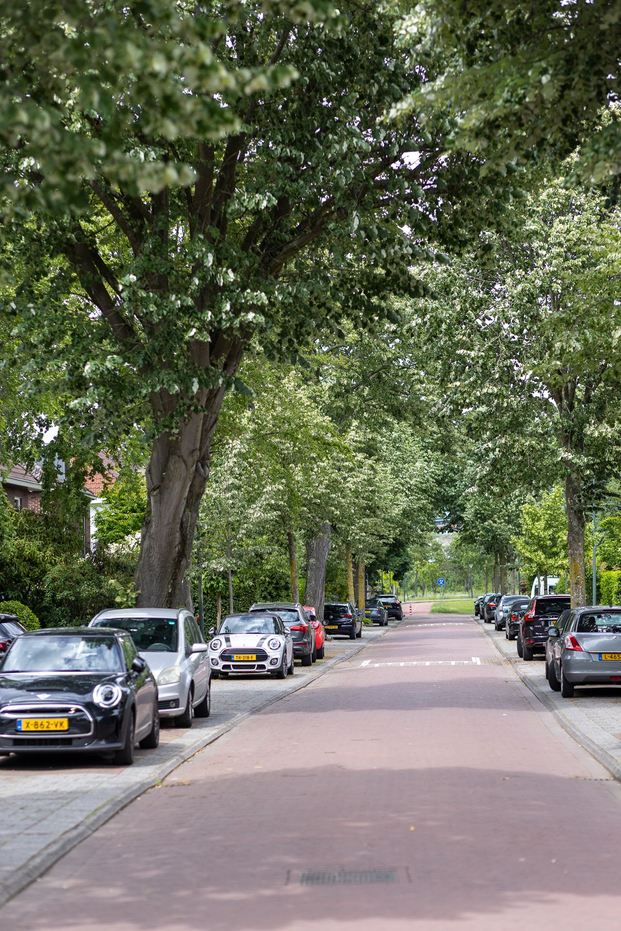Photo 44 of Prins Bernhardlaan 4