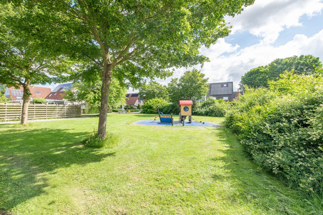 Foto 41 van Waterdrieblad 7
