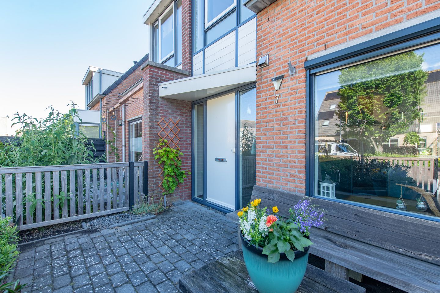Foto 5 van Waterdrieblad 7
