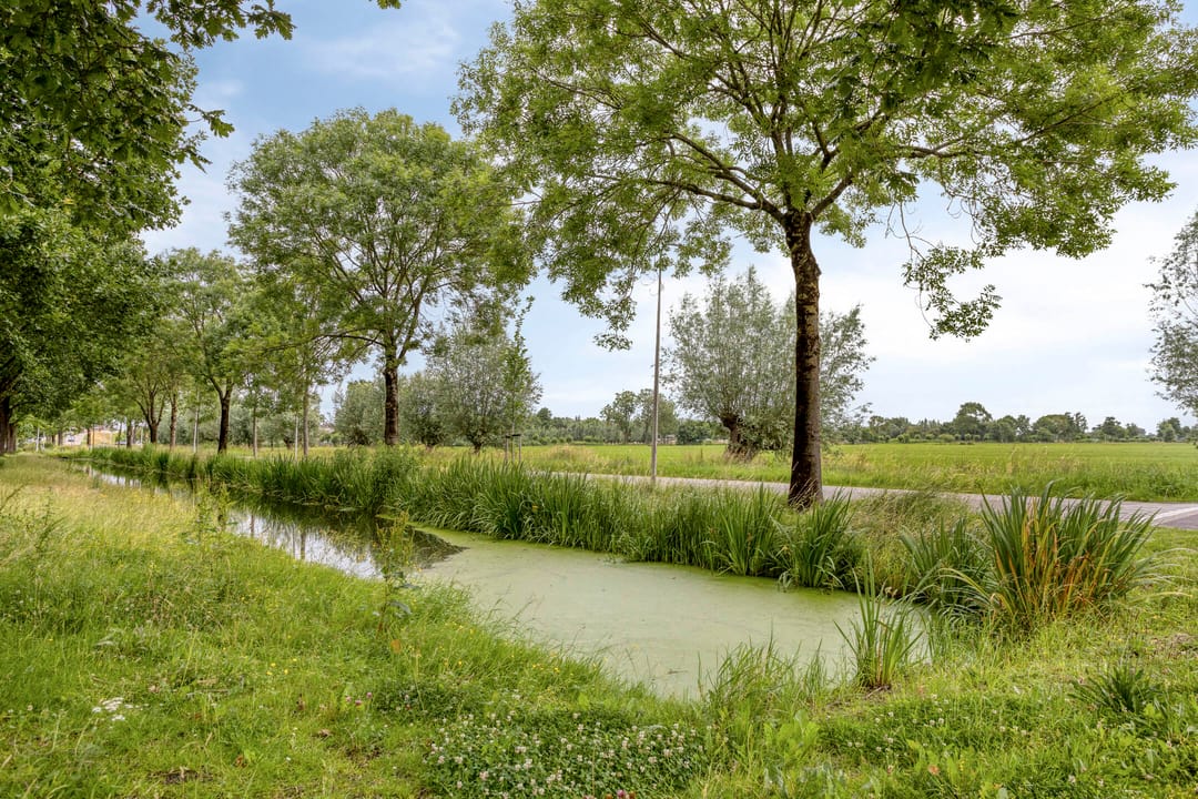 Photo 43 of Burgemeester Viezeelaan 14