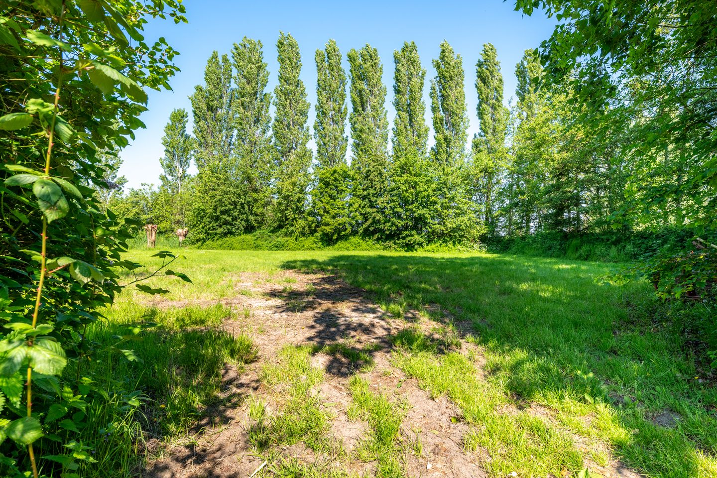Foto 40 van Lekdijk 10