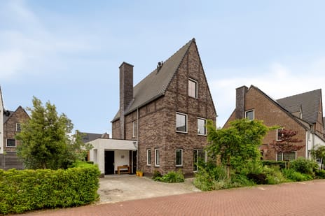 Houtduiflande thumbnail