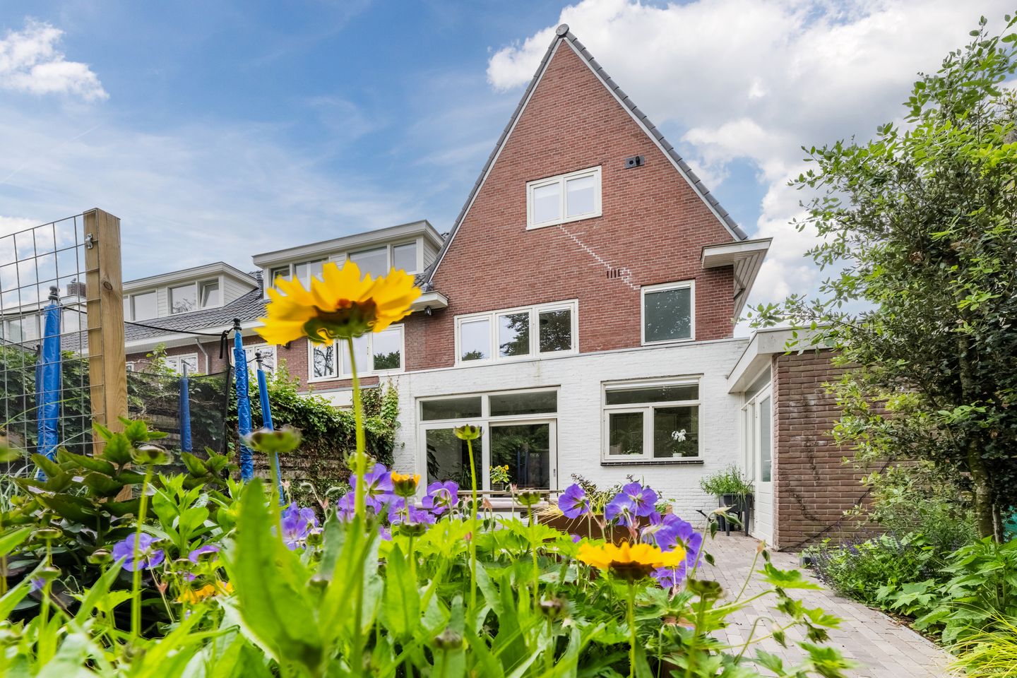Photo 49 of Burgemeester Suijsstraat 59