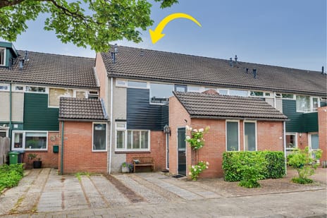 Lieshoutstraat thumbnail