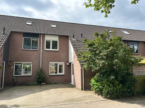 Goudvink thumbnail