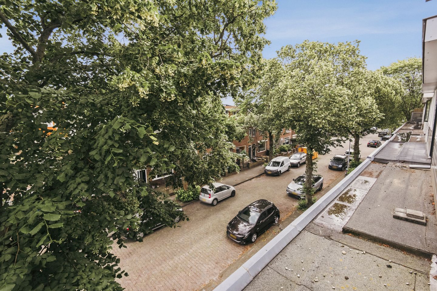 Foto 44 van Rijnstraat 56