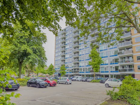 Burgemeester Hazenberglaan thumbnail