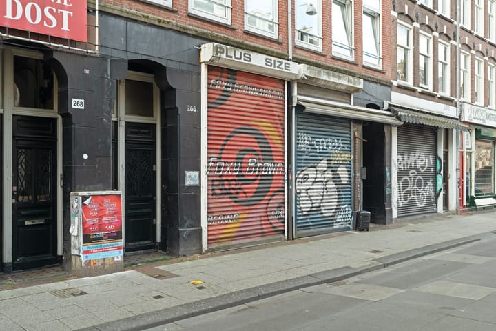 Albert Cuypstraat 266-H