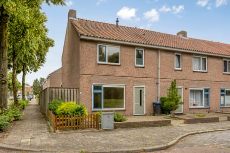 Cellostraat thumbnail