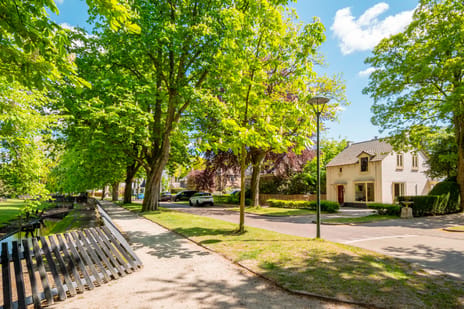 Van Reenenpark thumbnail