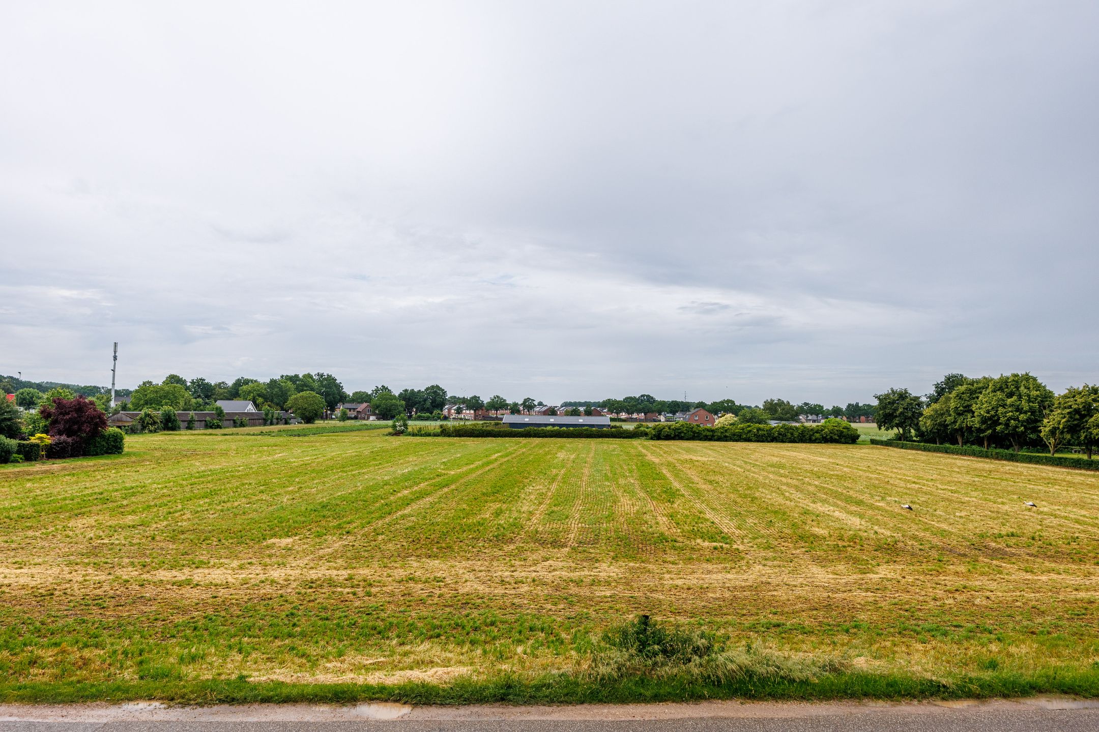 Photo 9 of Augustinusweg 2-B