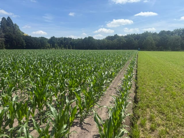 Bekijk foto 4 van Rijksweg