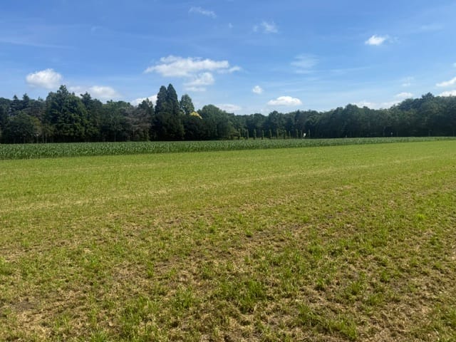 Bekijk foto 2 van Rijksweg