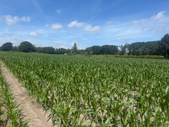 Bekijk foto 3 van Rijksweg