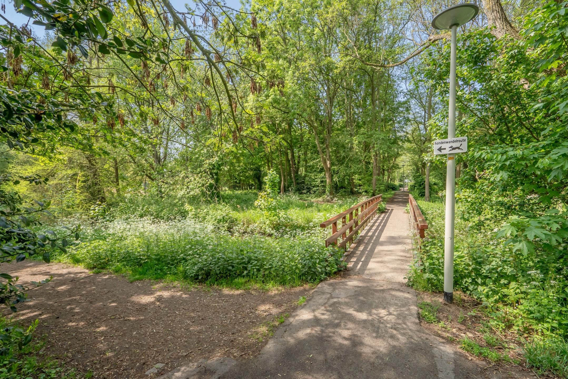 Photo 30 of Dr. G. Knuttelpark 89