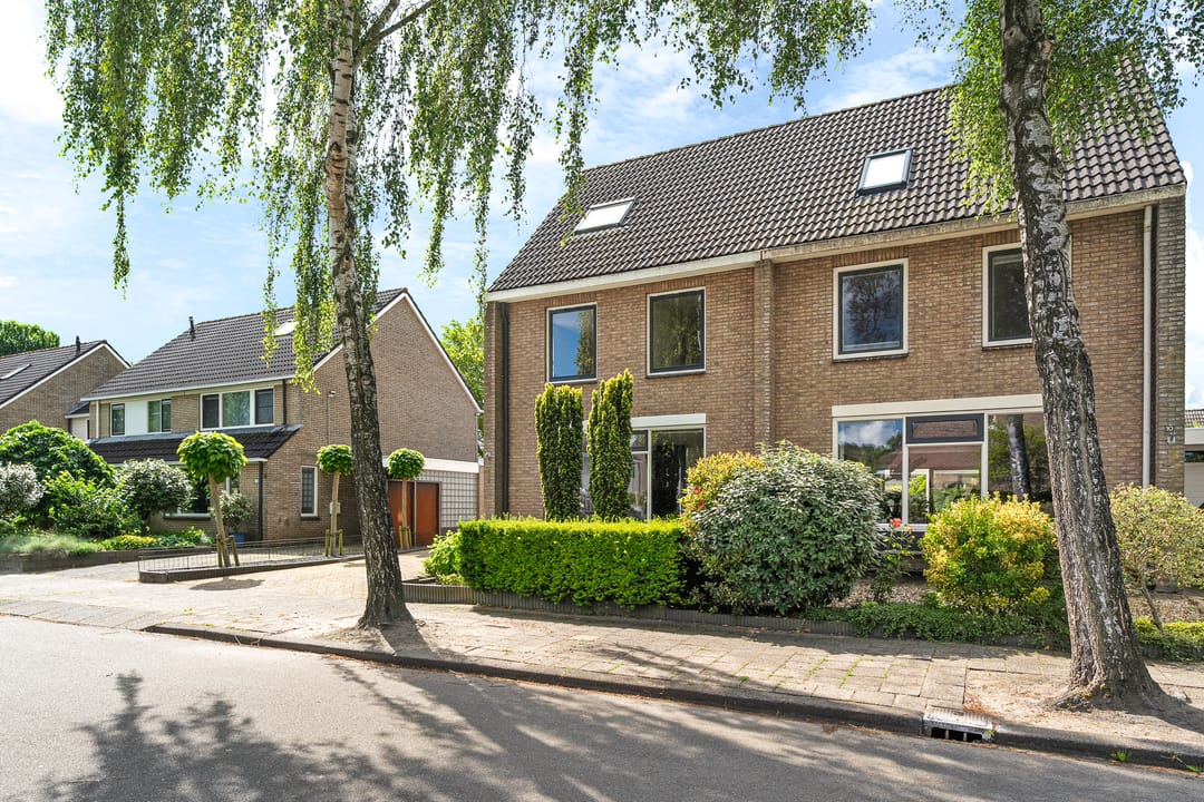 Foto 46 van Solckamastins 12