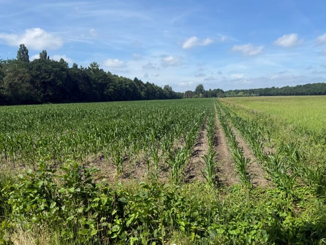 Bekijk foto 3 van Oud Eemnesserweg