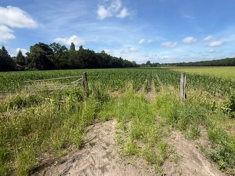Bekijk foto's