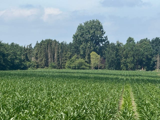 Bekijk foto 5 van Oud Eemnesserweg