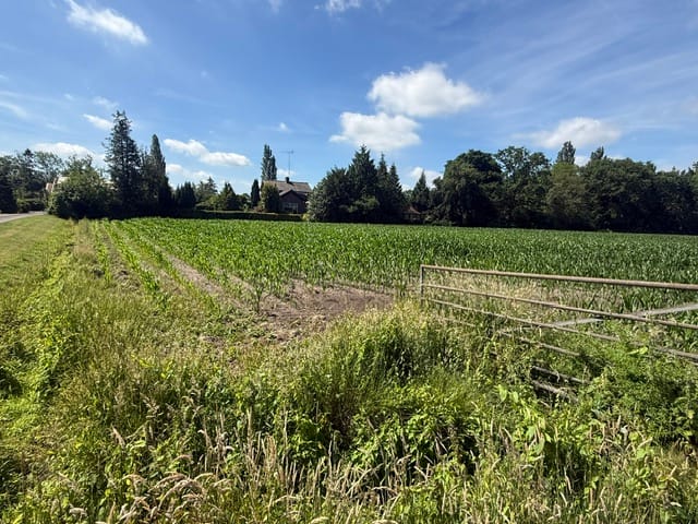 Bekijk foto 4 van Oud Eemnesserweg