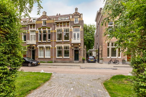van Beverninghlaan thumbnail