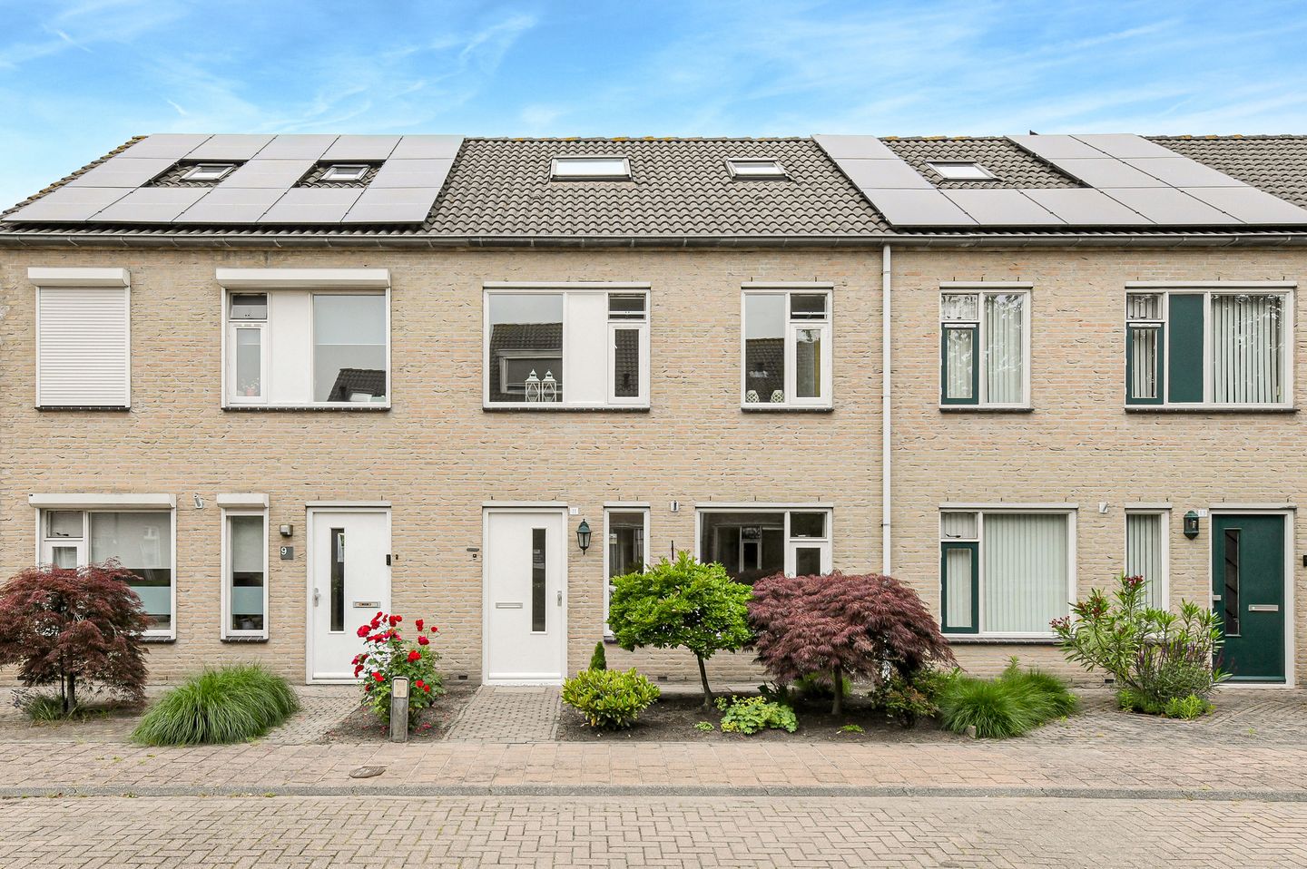 Foto 1 van Korenbloem 11