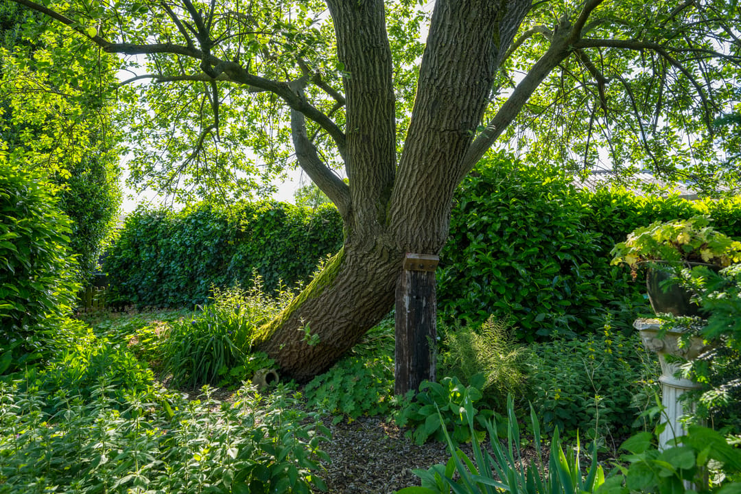 Photo 53 of Doetinchemseweg 37