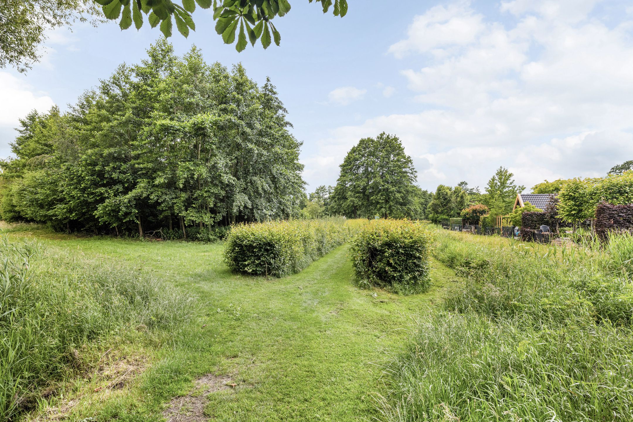 Photo 42 of Meester de Weertstraat 24-A