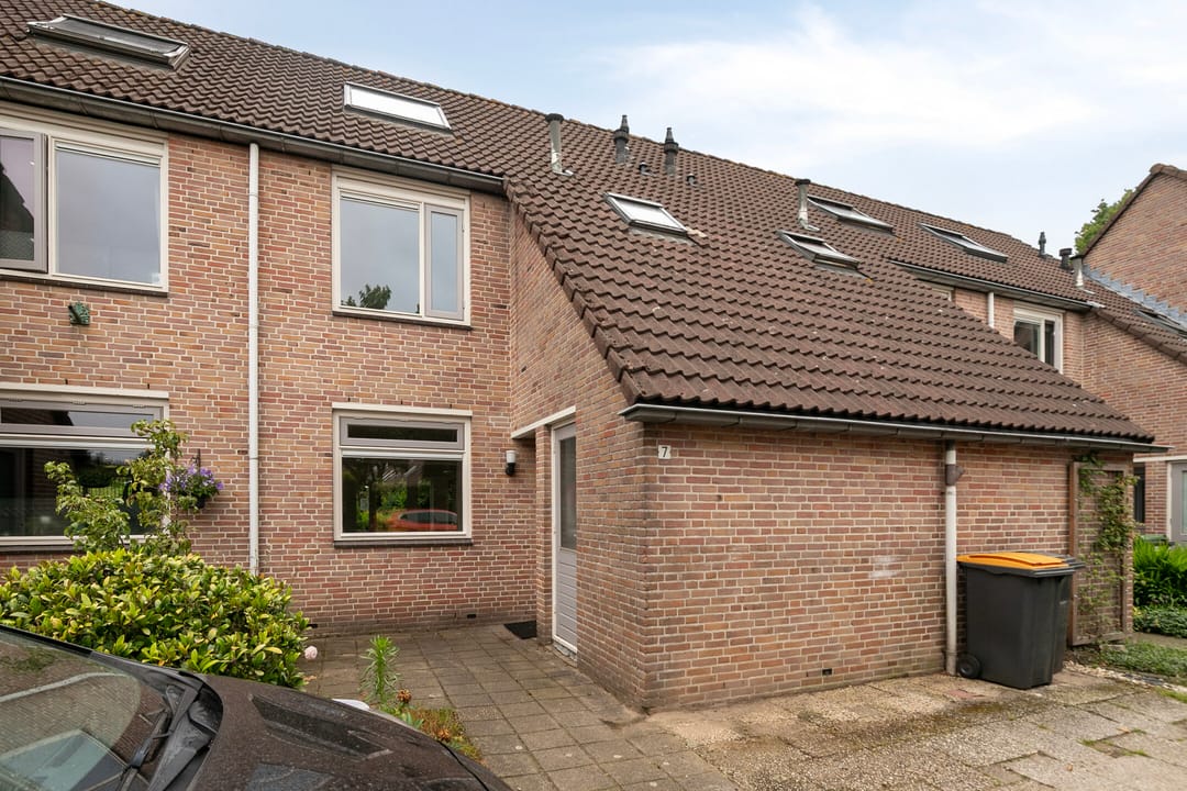 Foto 1 van Bonte salie 7