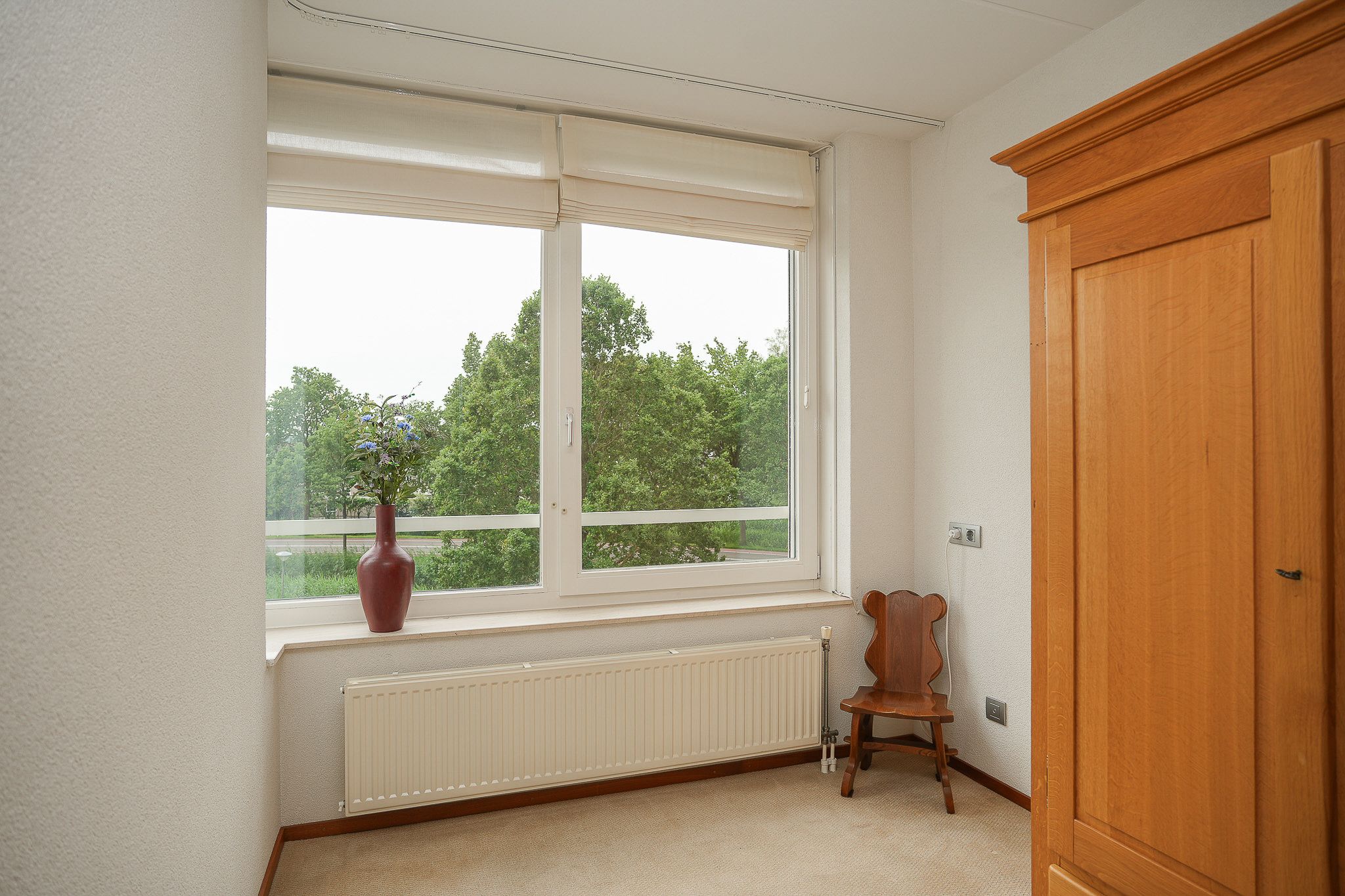 Photo 12 of IJsvogel 25
