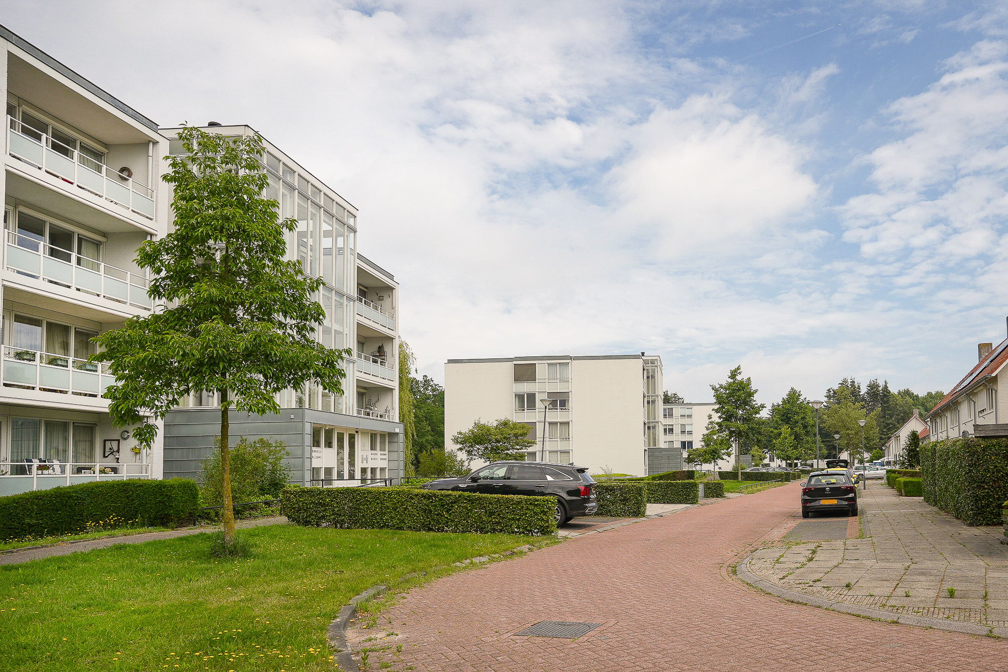 Photo 27 of IJsvogel 25