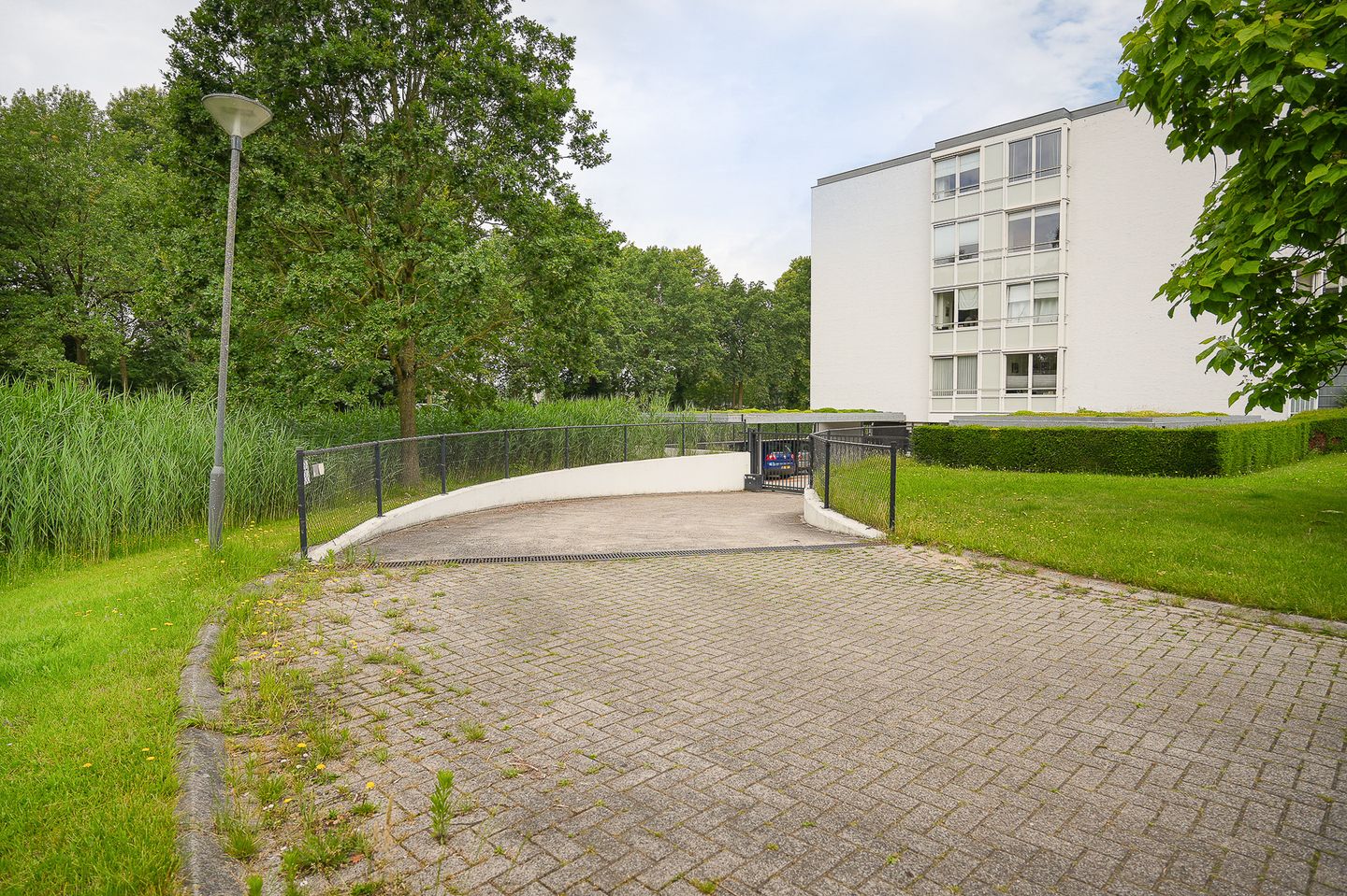 Photo 25 of IJsvogel 25