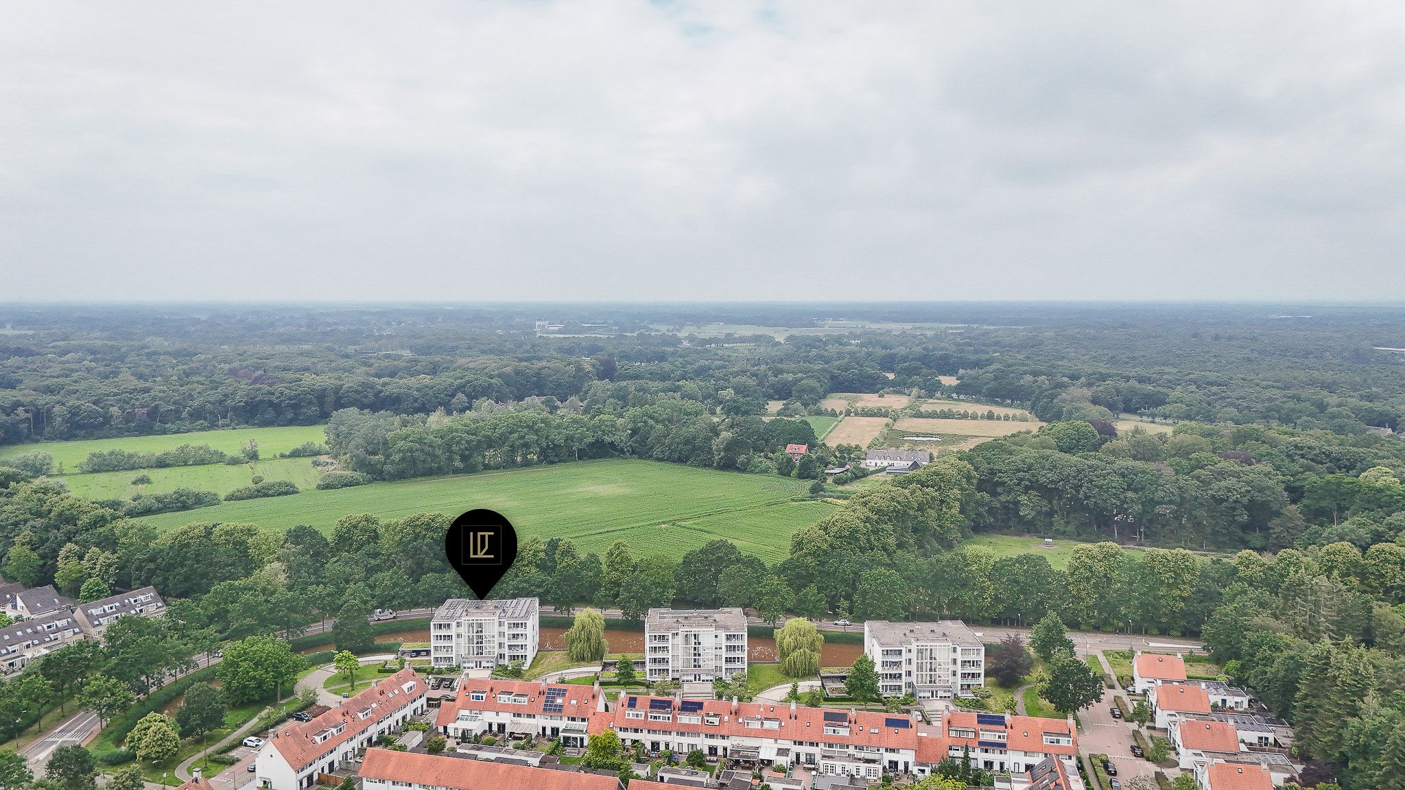 Photo 33 of IJsvogel 25