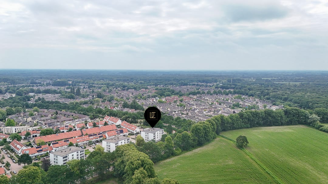 Photo 32 of IJsvogel 25