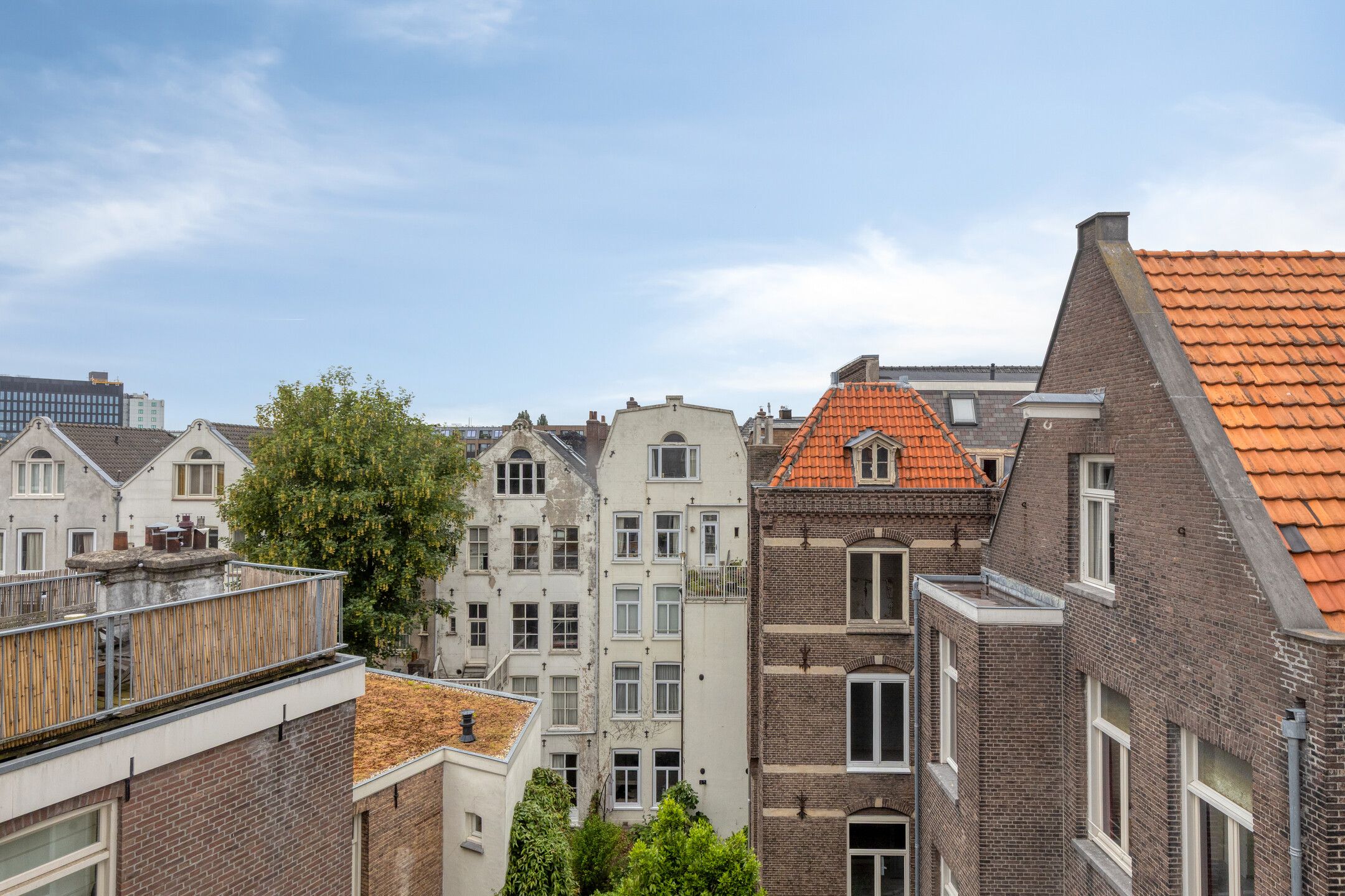 Foto 45 van Plantage Muidergracht 161-3