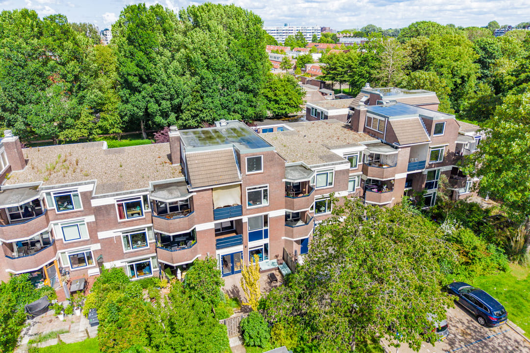 Photo 61 of Roggekamp 55