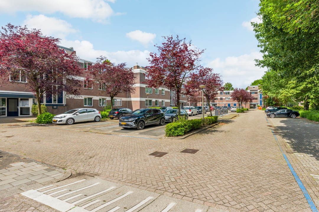 Photo 52 of Roggekamp 55