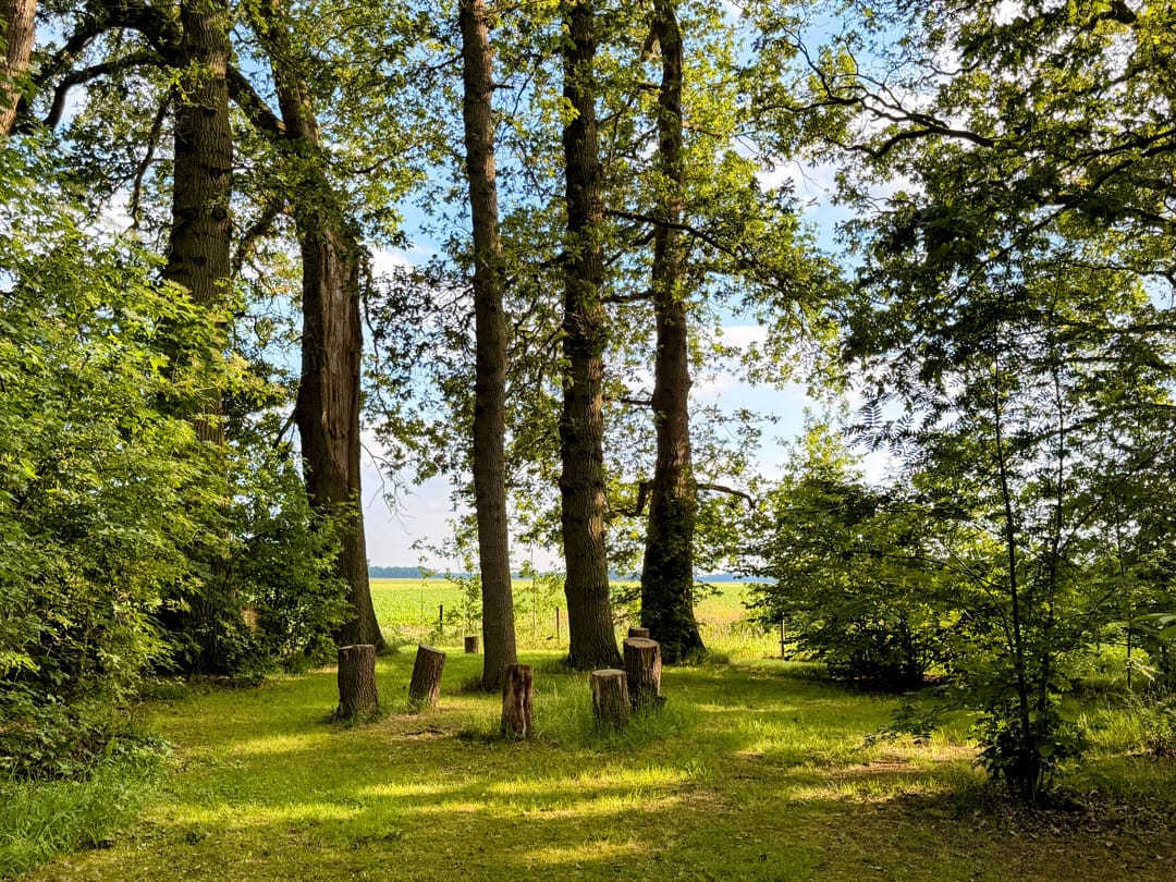 Photo 8 of Stroovledder 9