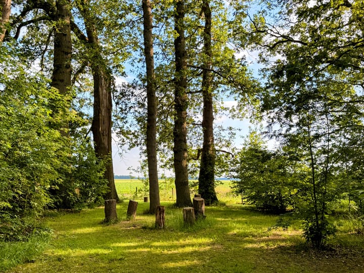 Vrijstaande woning te koop: Stroovledder 9, Dwingeloo